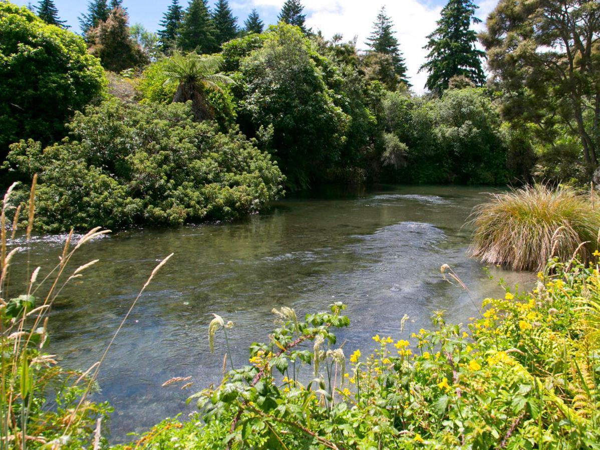 Waitahanui Bellbird Cottage - Lake Taupo Bach מראה חיצוני תמונה