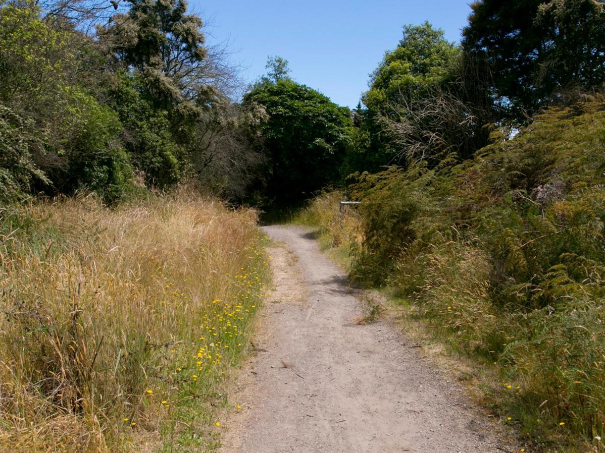 Waitahanui Bellbird Cottage - Lake Taupo Bach מראה חיצוני תמונה